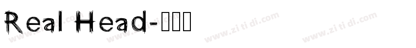 Real Head字体转换
